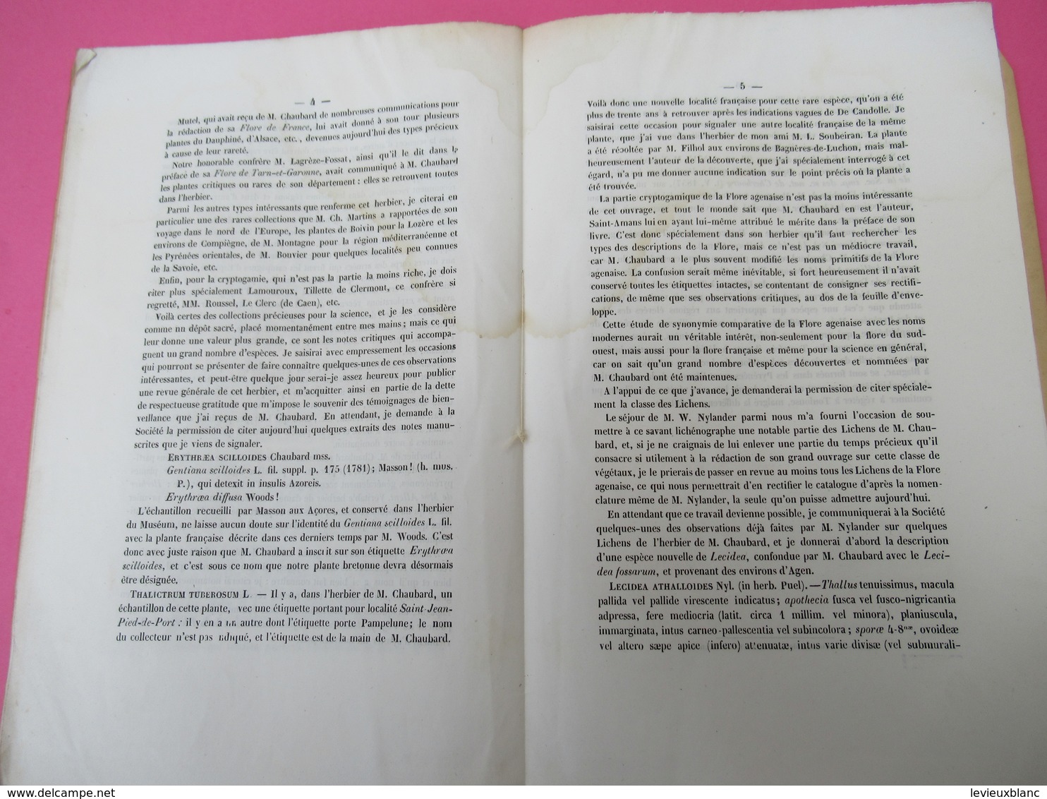 Notice/Botanique/Note Sur L'herbier De Feu M CHAUBARD/Dr PUEL/Dédicace à Alphonse LAVALLEE/Martinet/Agen/1860 MDP83 - Signierte Bücher