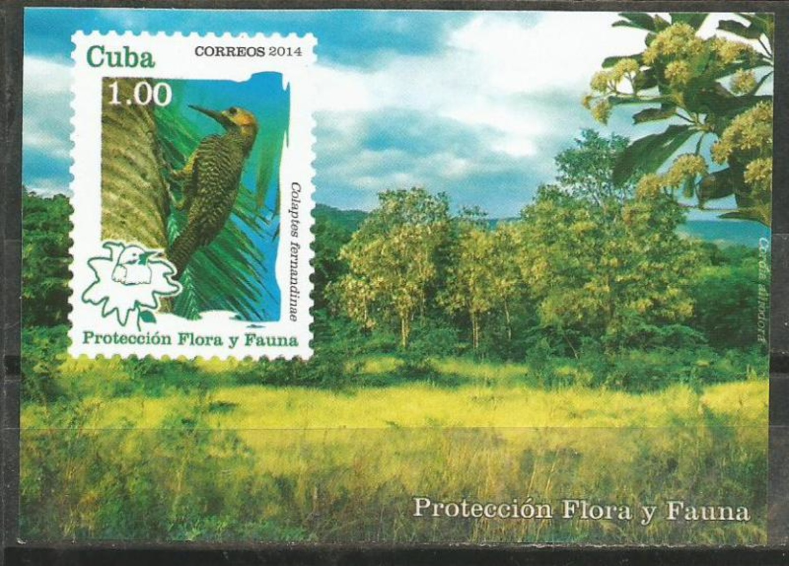 Cuba 2014 Protection Flowers And Animals (Turtles, Birds, Pigeon, Flowers) 6v + S/S MNH - Nuevos