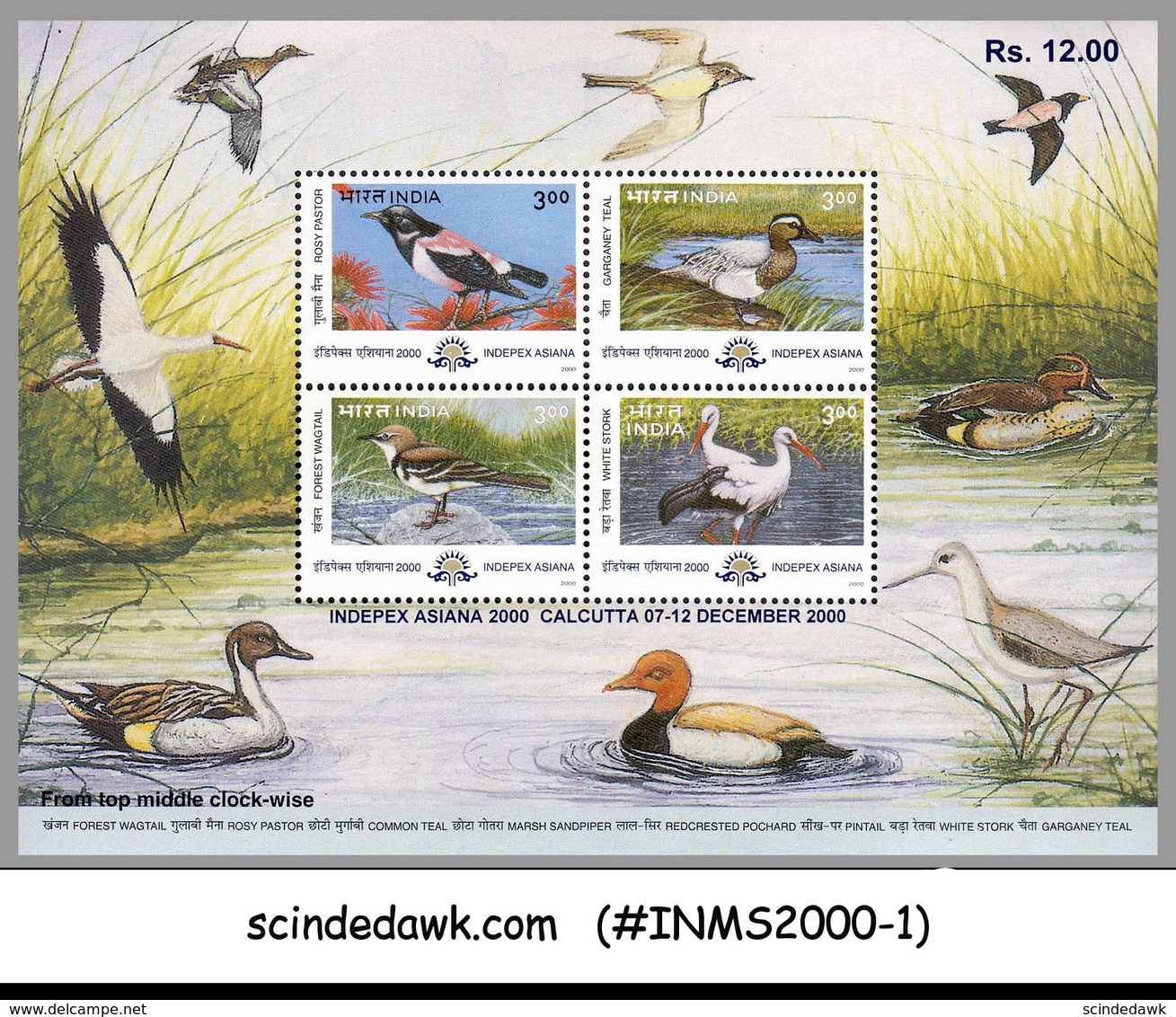 INDIA - 2000 INDEPEX ASIANA 2000 / BIRDS - MIN/SHT MNH - Autres & Non Classés