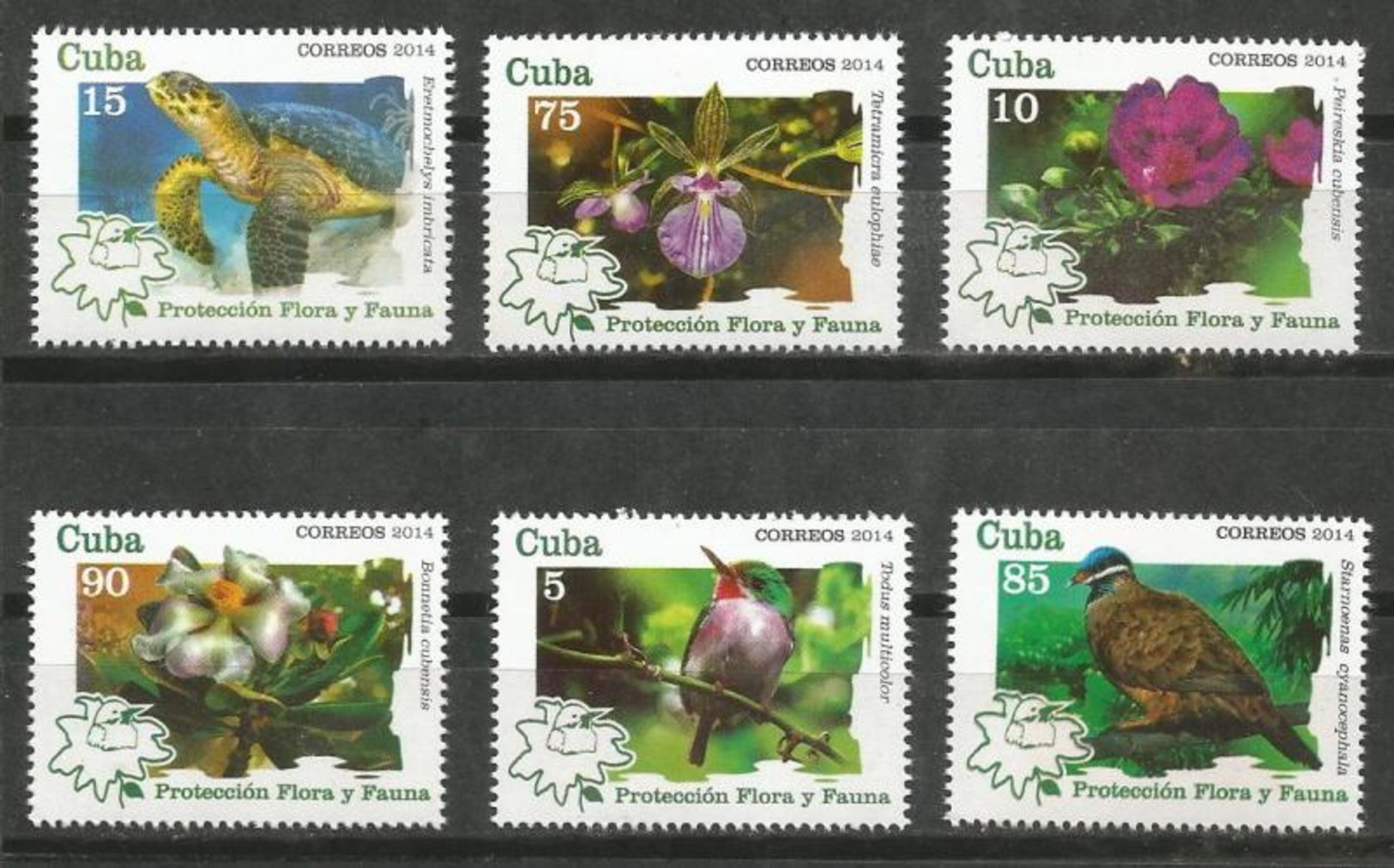 Cuba 2014 Protection Flowers And Animals (Turtles, Birds, Pigeon, Flowers) 6v + S/S MNH - Piccioni & Colombe