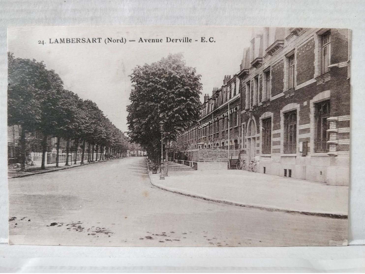 Lambersart. Avenue Derville - Lambersart