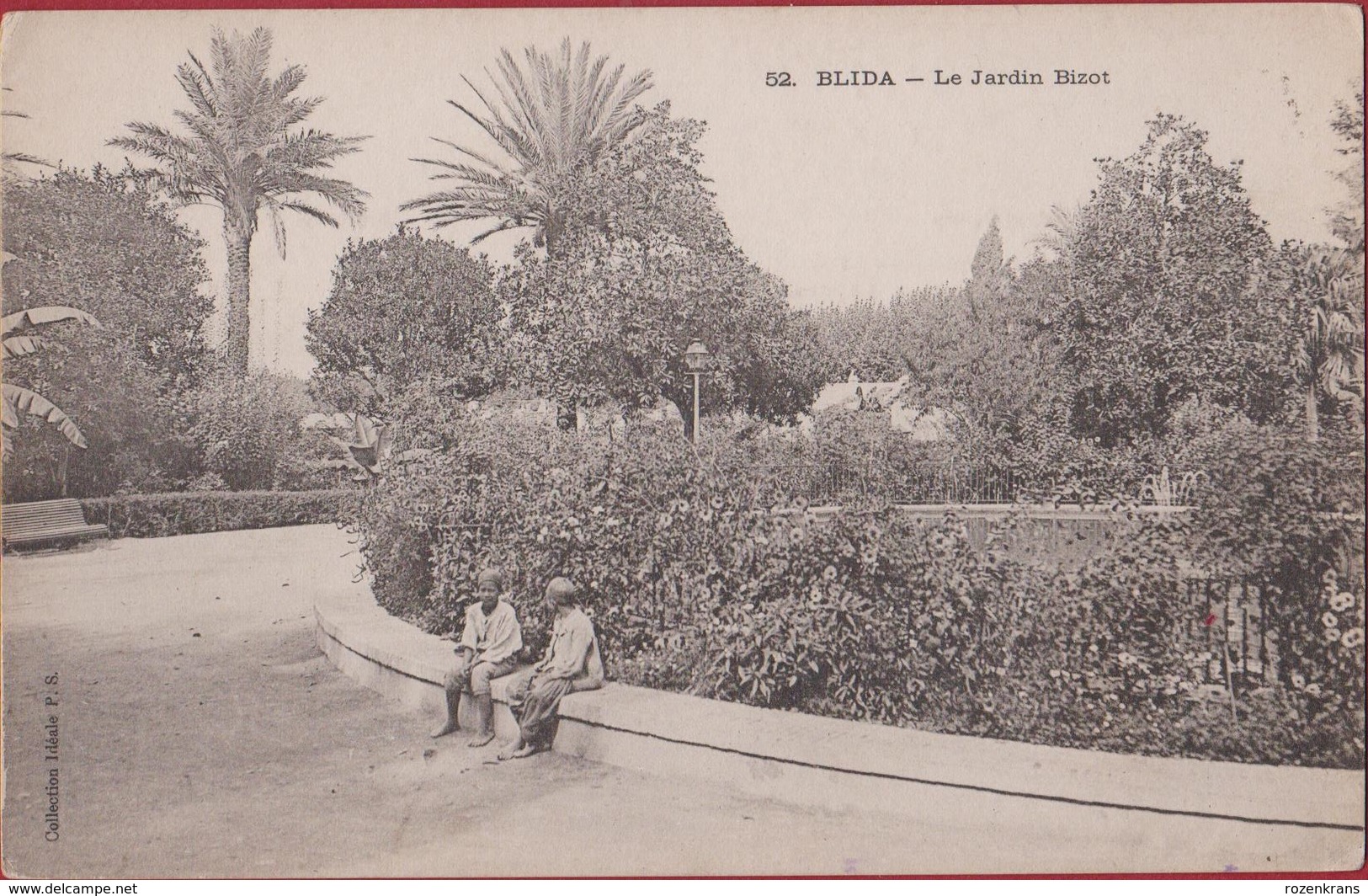 Algerie Algeria Algerije Blida Le Jardin Bizot Animee Geanimeerd - Other & Unclassified