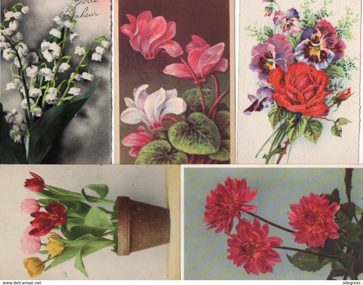 FLEURS...BOUQUETS........LOT DE 48 CPSM..........VOIR SCAN.....LOT 56 - Fleurs