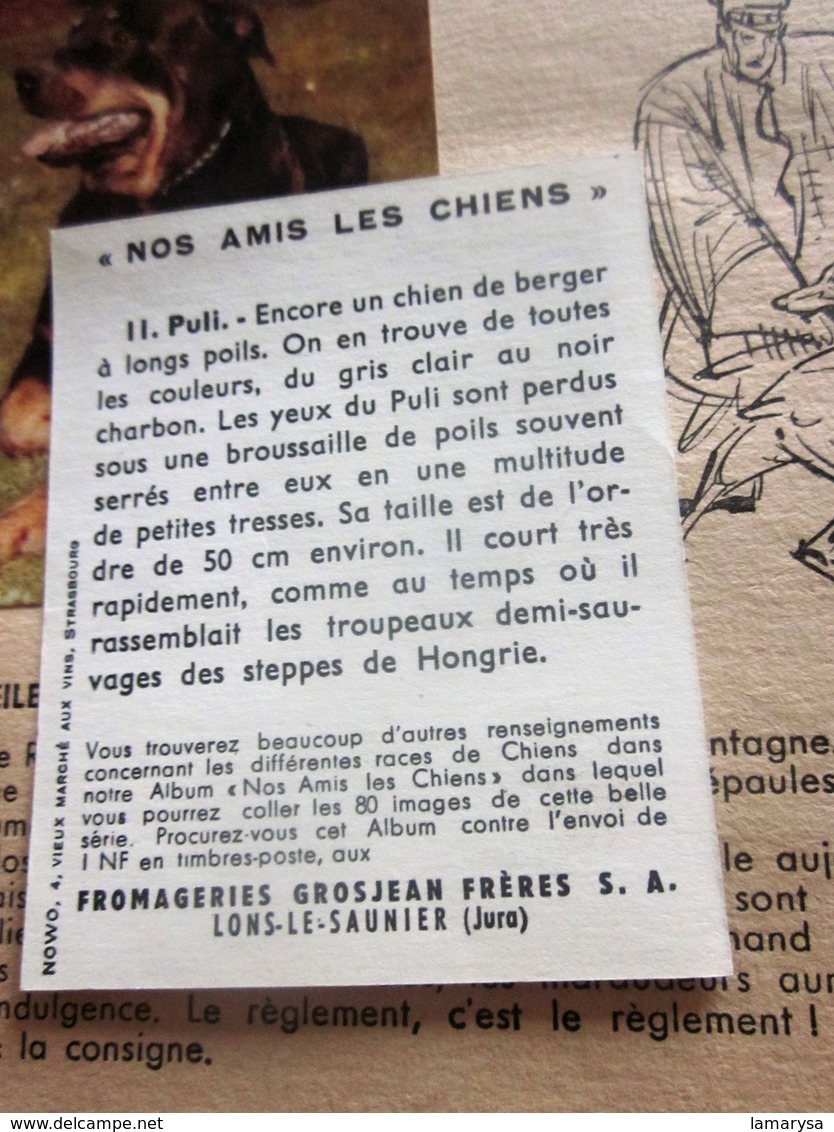 LA VACHE GROSJEAN FROMAGERIE"NOS AMIS LES CHIENS"Chromos & Images Chromo Album 1963-A. Petre LONS LE SAUNIER Jura-Cow