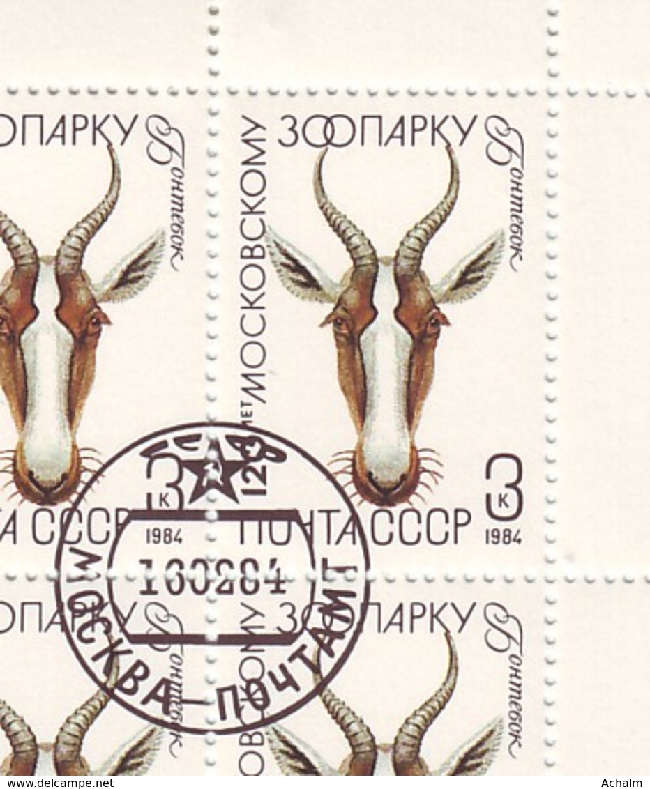 Soviet Union/UdSSR/CCCP Of 1984 - Sheet Of Stamps 36 X MiNr. 5357 Used - Moscow Zoo - Ganze Bögen