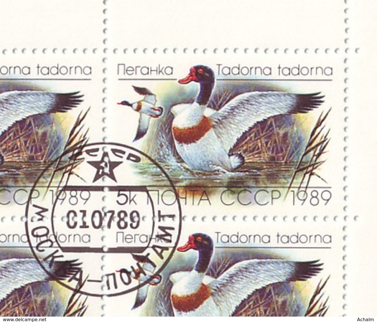 Soviet Union/UdSSR/CCCP Of 1989 - Sheet Of Stamps  36 X MiNr. 5965 Used - Common Shelduck (1) - Ganze Bögen