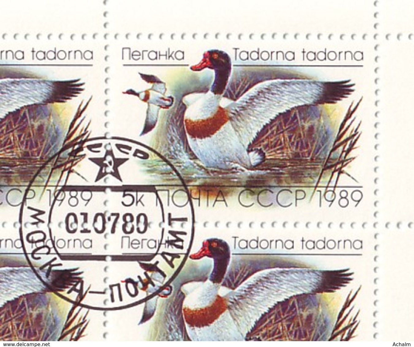 Soviet Union/UdSSR/CCCP Of 1989 - Sheet Of Stamps  36 X MiNr. 5965 Used - Common Shelduck (2) - Ganze Bögen