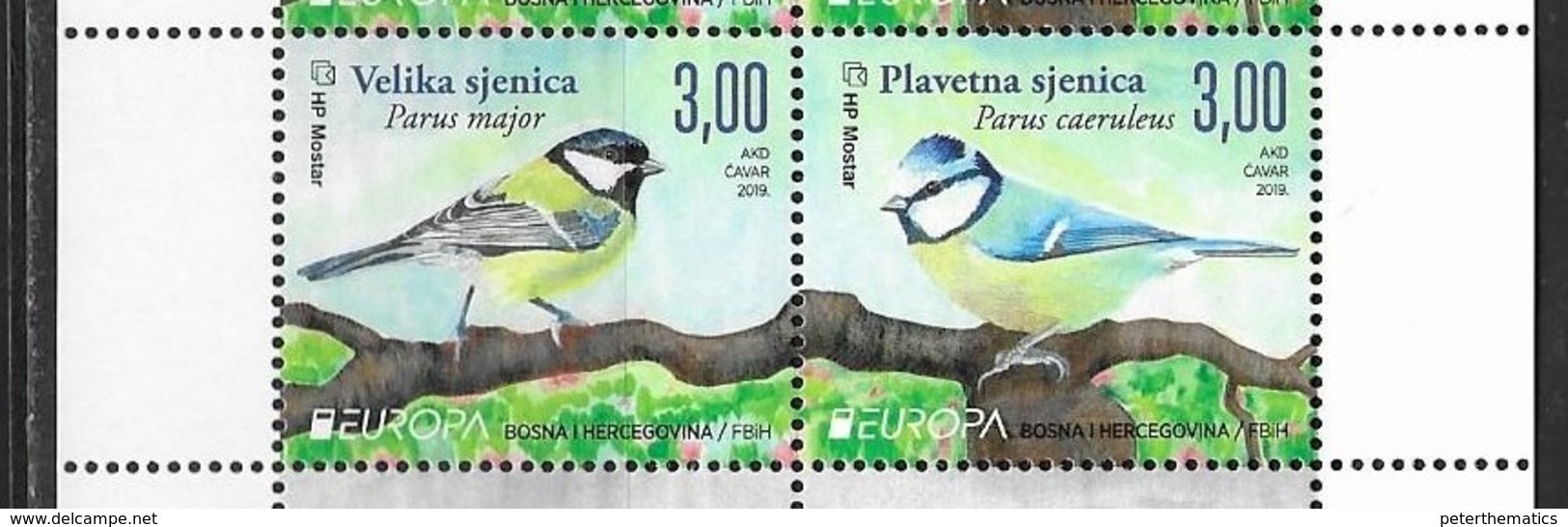 BOSNIA CROAT, 2019, MNH, EUROPA, BIRDS, 2v - 2019