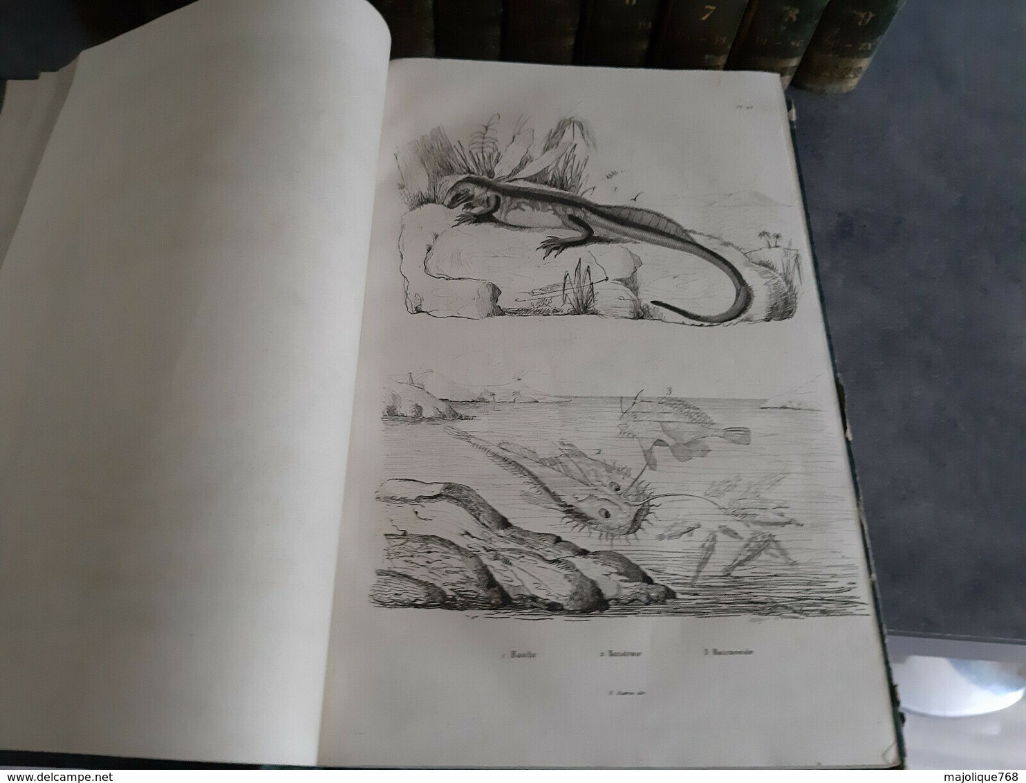 Dictionnaire Pittoresque D'histoire Naturelle Et Des Phénomènes De La Nature 1833  A 1834. Par F.E.Guerin - Dizionari