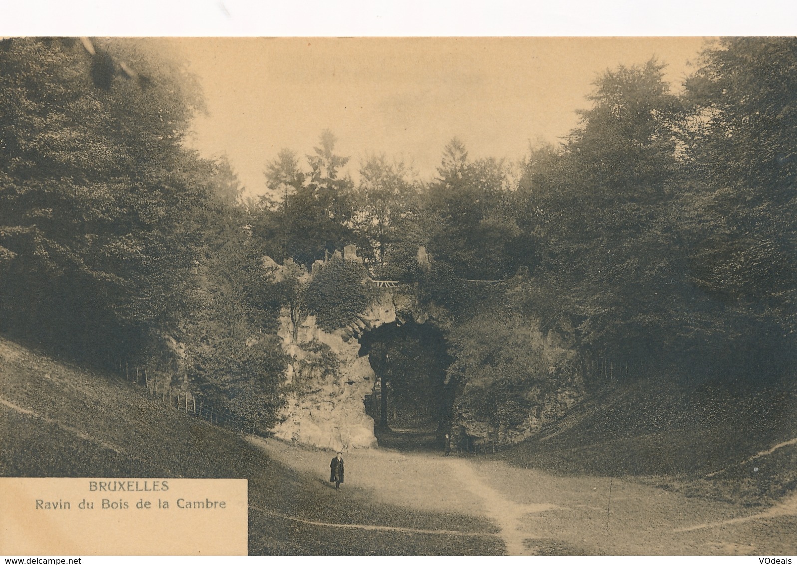 CPA - Belgique - Brussels - Bruxelles - Ravin Du Bois De La Cambre - Forests, Parks