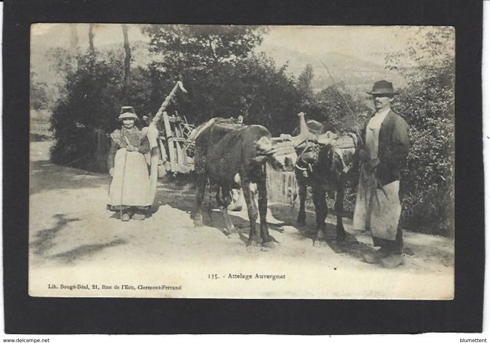 CPA Auvergne Région Non Circulé Type Métier Attelage - Auvergne