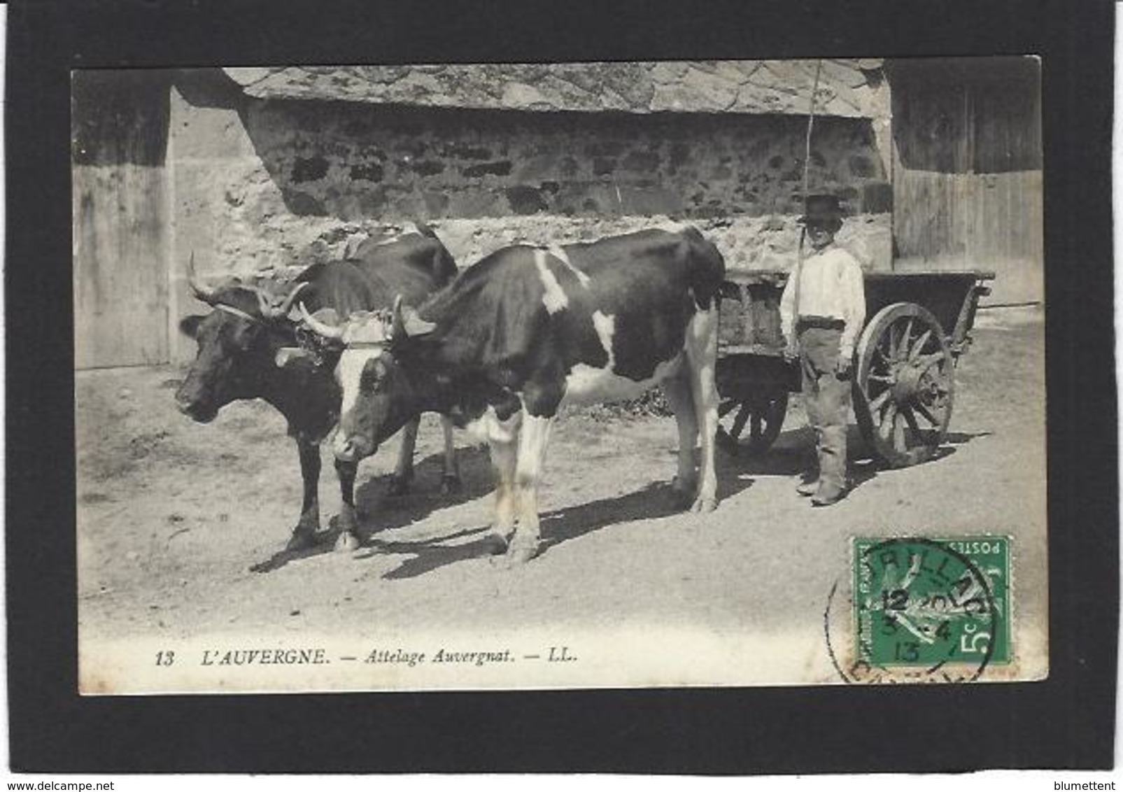 CPA Auvergne Région Circulé Type Métier Attelage Cantal - Auvergne