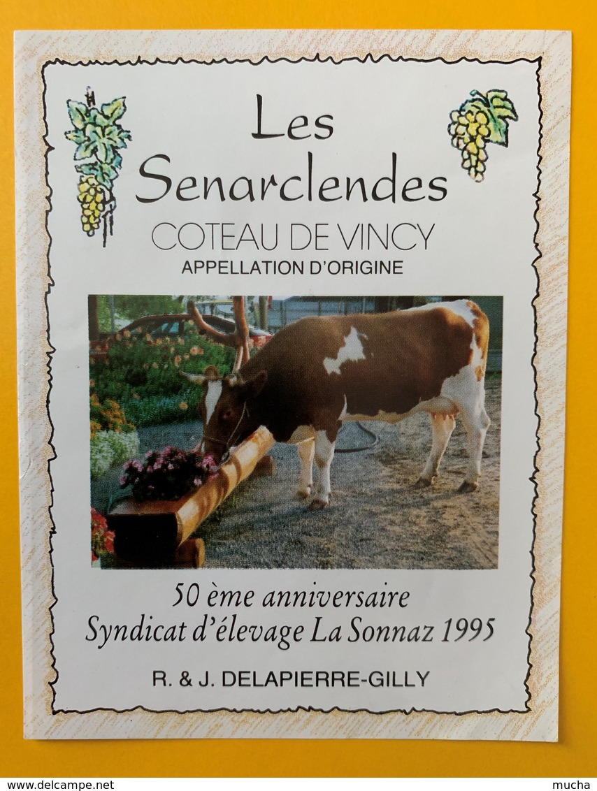 10721 - 50e Anniversaire Syndicat D'élevage La Sonnaz 1995  Suisse Les Senaclendes Côteau De Vincy - Kühe