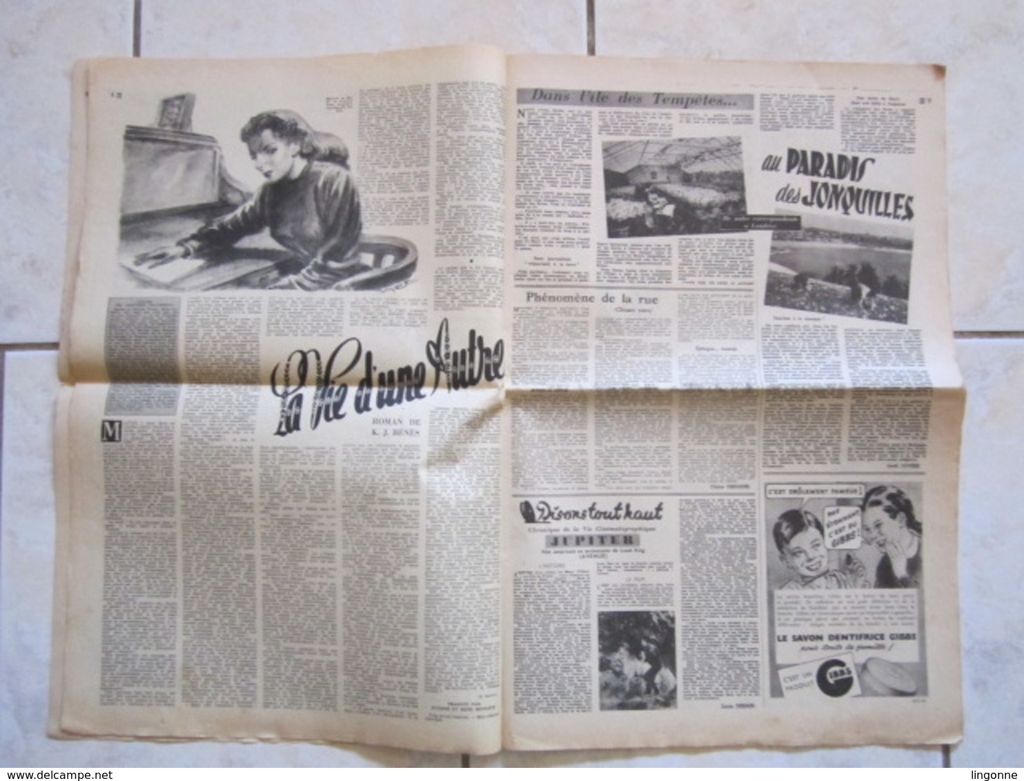 RARE LE JOURNAL De La FEMME Hebdomadaire Interdit Sous L'Occupation Directrice : Raymonde MACHARD  12 JANVIER 1949 - Autres & Non Classés