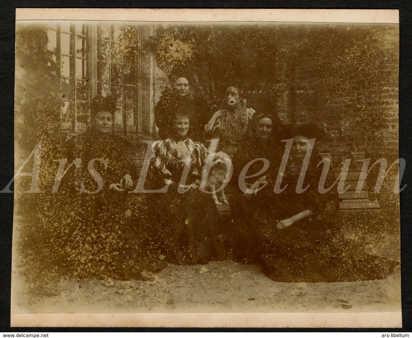 Photo Ancien / Foto / Femmes / Women / Dog / Chien / Garden / Jardin / Size: 9 X 10.90 Cm. - Anciennes (Av. 1900)