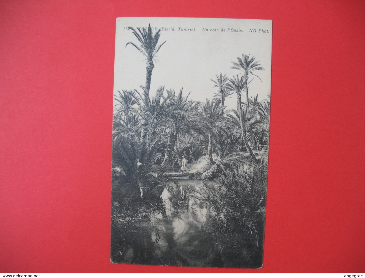 Carte  1913  voyagé   de Régence Tunisie Porto Farina Pour La France Côte D'Or   - Un Coin D'Oasis - Lettres & Documents