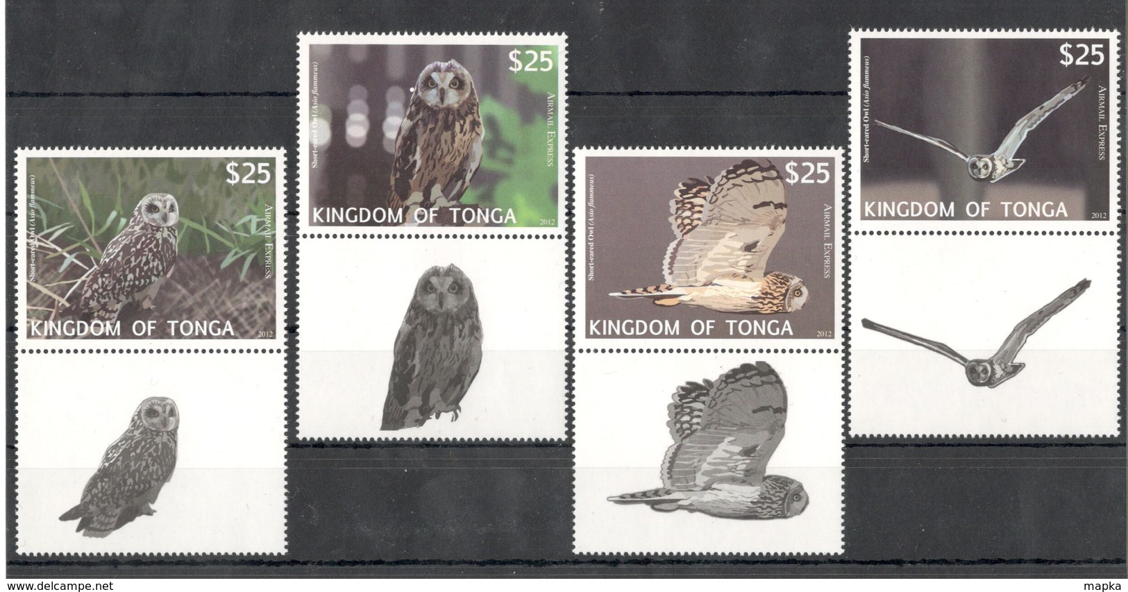 N678 2012 KINGDOM OF TONGA FAUNA BIRDS OWLS 1SET MICHEL 110 EURO MNH - Owls