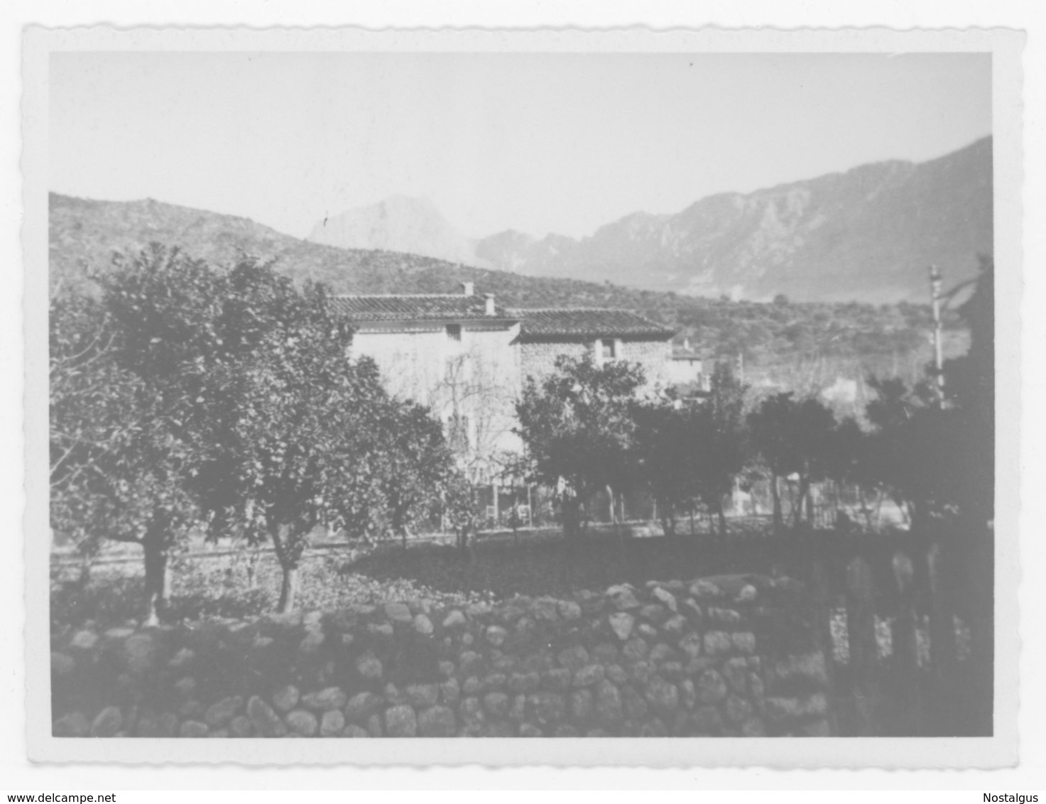 Foto 082 Spanien - "Mallorca - Puerto De Sóller" Okt. 1934 - Lieux