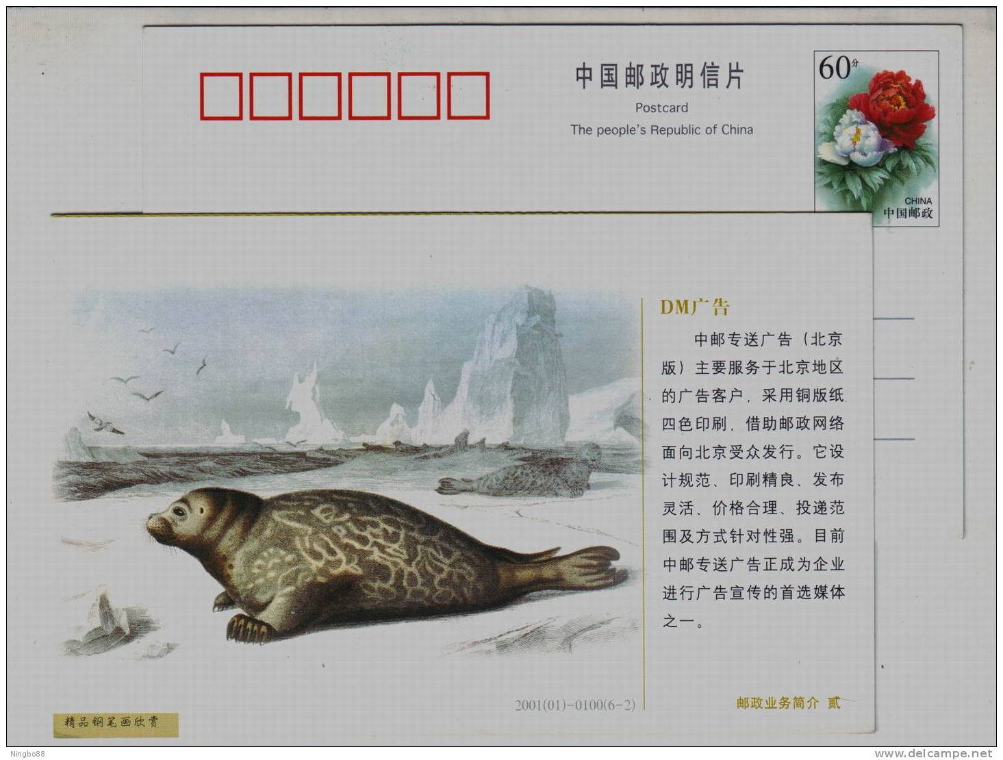 Arctic Drifting Ice Mountain,Greenland Bearded Seal,CN 01 Post DM Advertisment Business Advertising Pre-stamped Card - Other & Unclassified