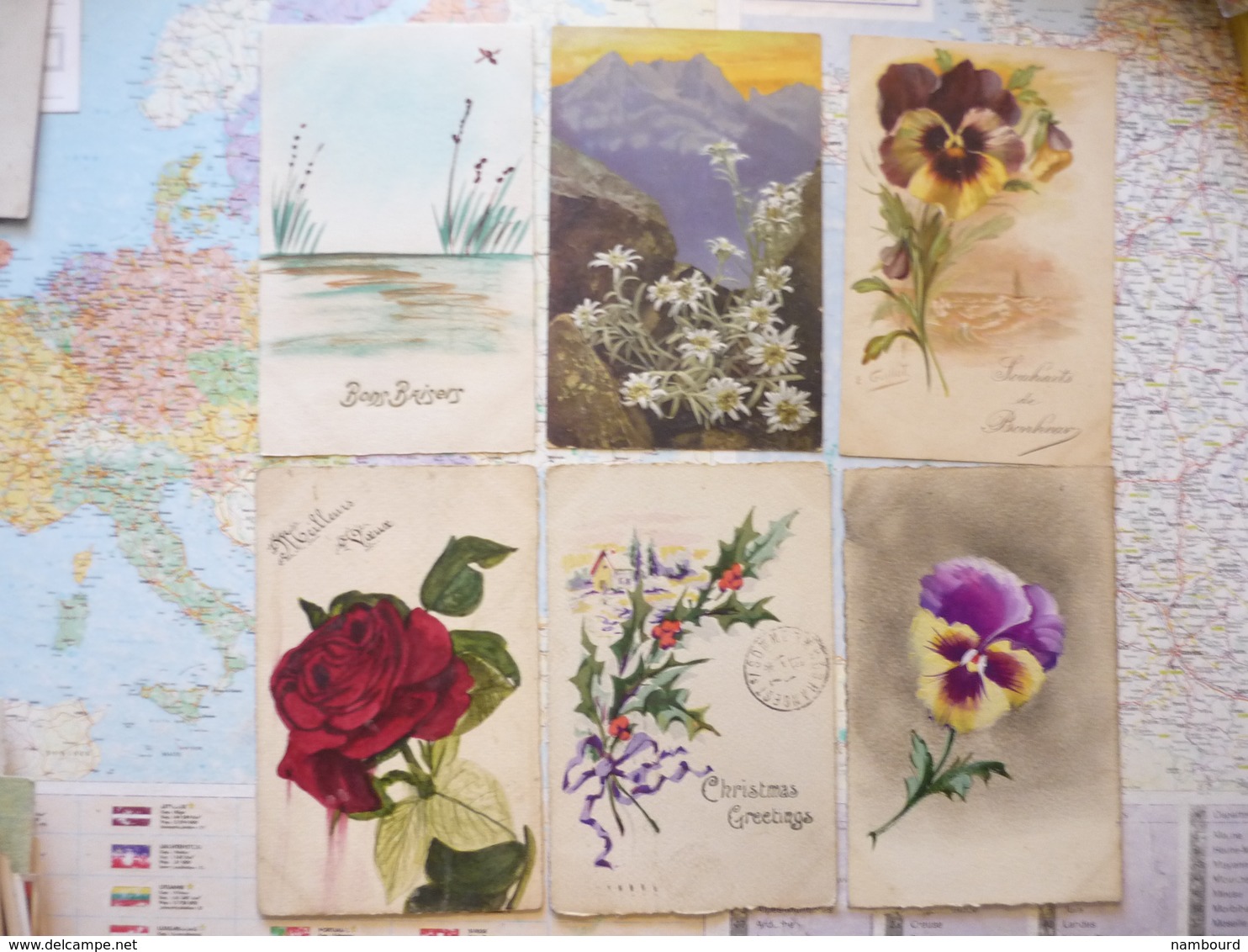 Illustrations De Fleurs 6 Cartes - 1900-1949