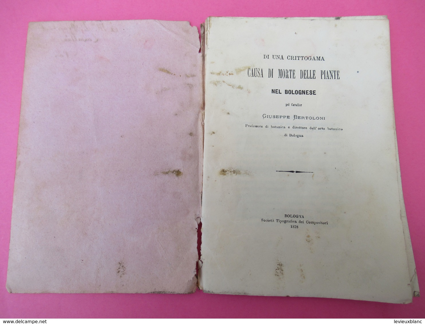 Botanique/Di Una Crittogama Causa Di Morte Delle Plante Nel Bolognese Pel Cavalier/Guiseppe BERTOLONI/Bologna/1878 MDP84 - Old Books