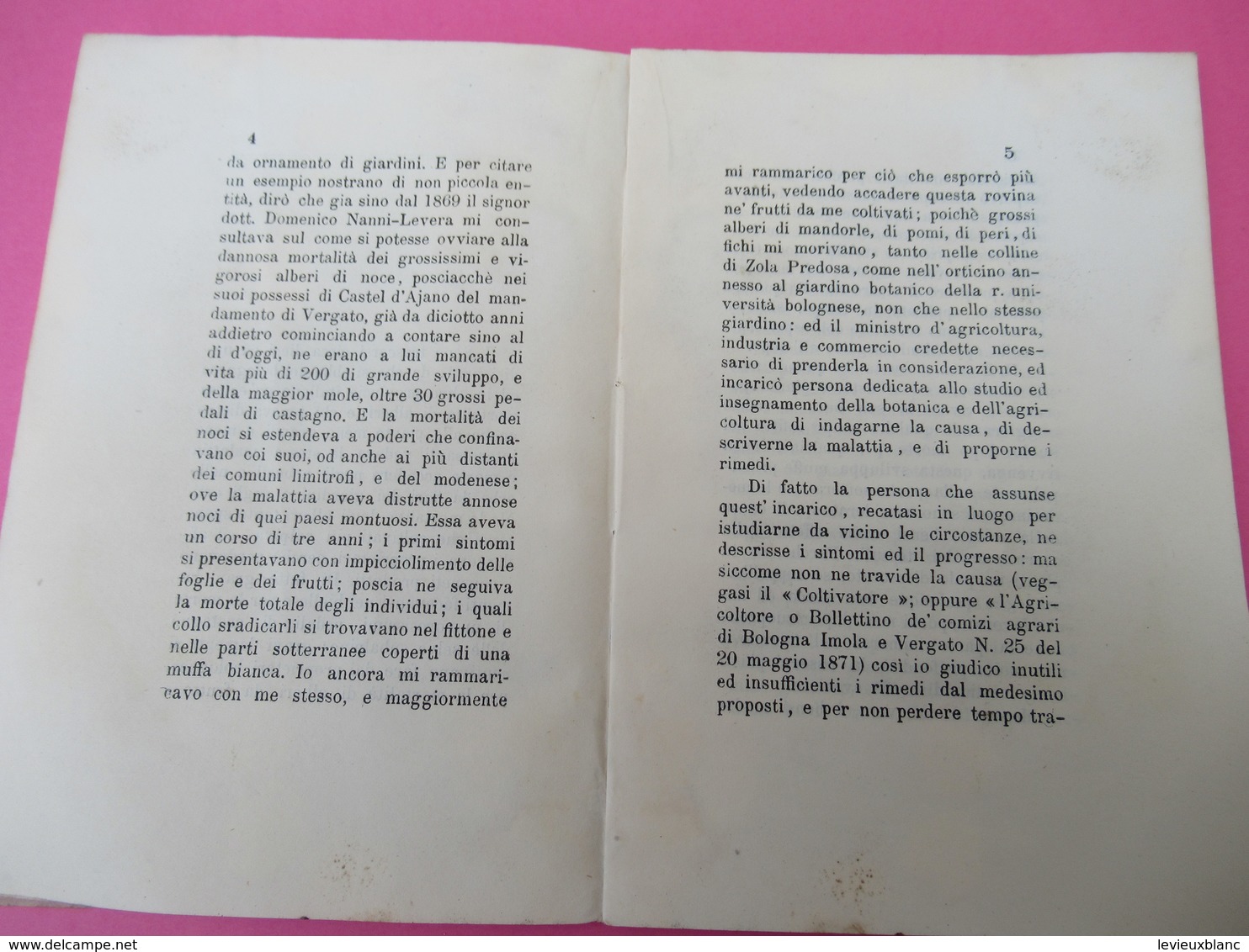 Botanique/Di Una Crittogama Causa Di Morte Delle Plante Nel Bolognese Pel Cavalier/Guiseppe BERTOLONI/Bologna/1878 MDP84 - Alte Bücher