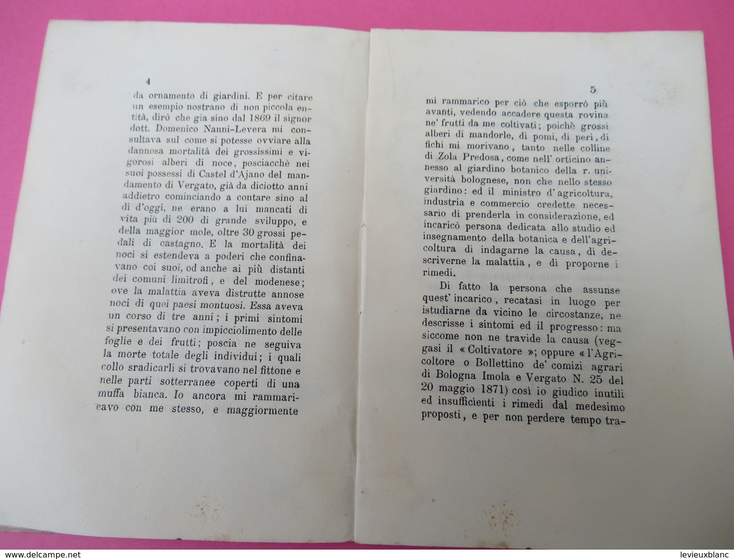 Botanique/Di Una Crittogama Causa Di Morte Delle Plante Nel Bolognese Pel Cavalier/Guiseppe BERTOLONI/Bologna/1878 MDP84 - Libros Antiguos Y De Colección