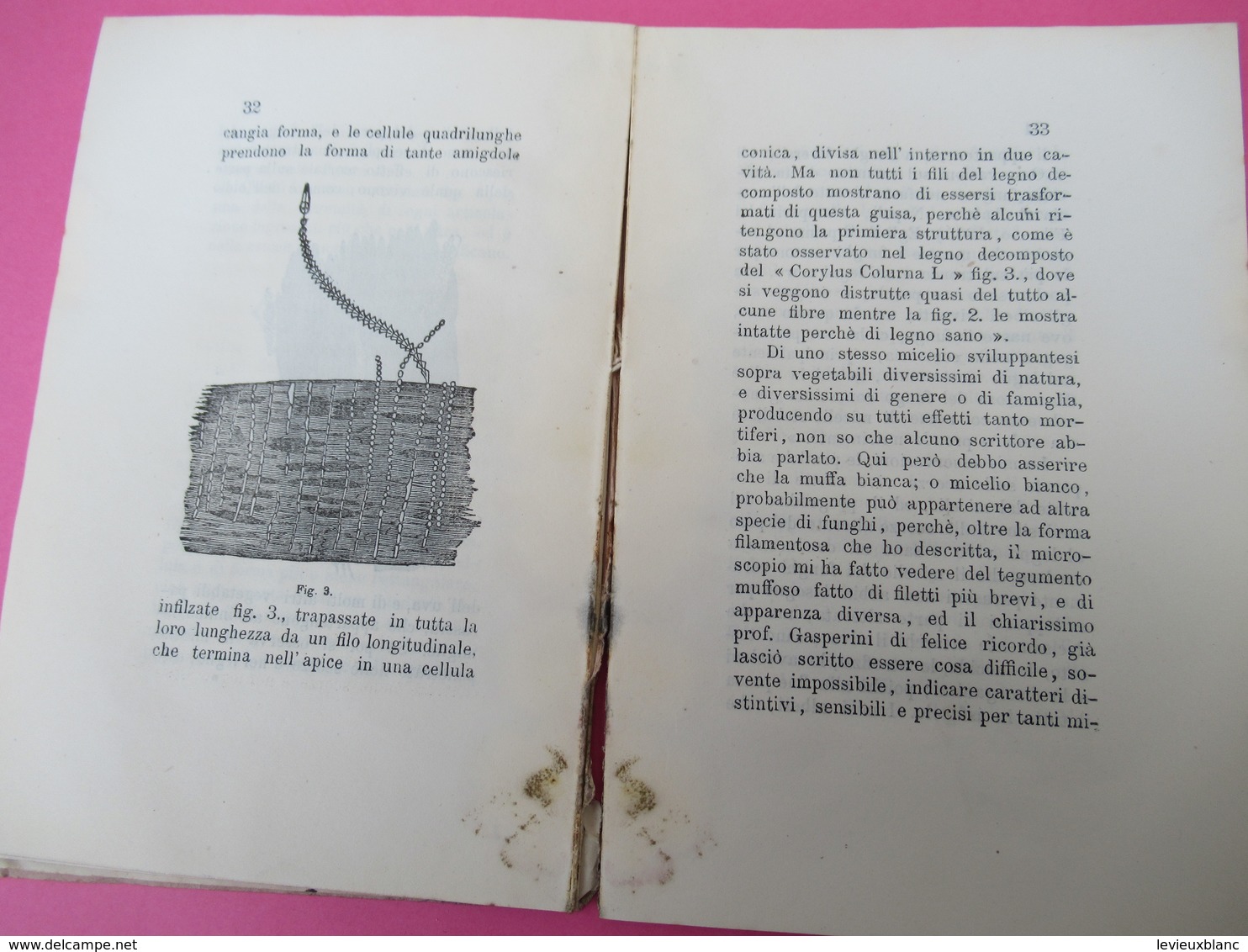 Botanique/Di Una Crittogama Causa Di Morte Delle Plante Nel Bolognese Pel Cavalier/Guiseppe BERTOLONI/Bologna/1878 MDP84 - Livres Anciens