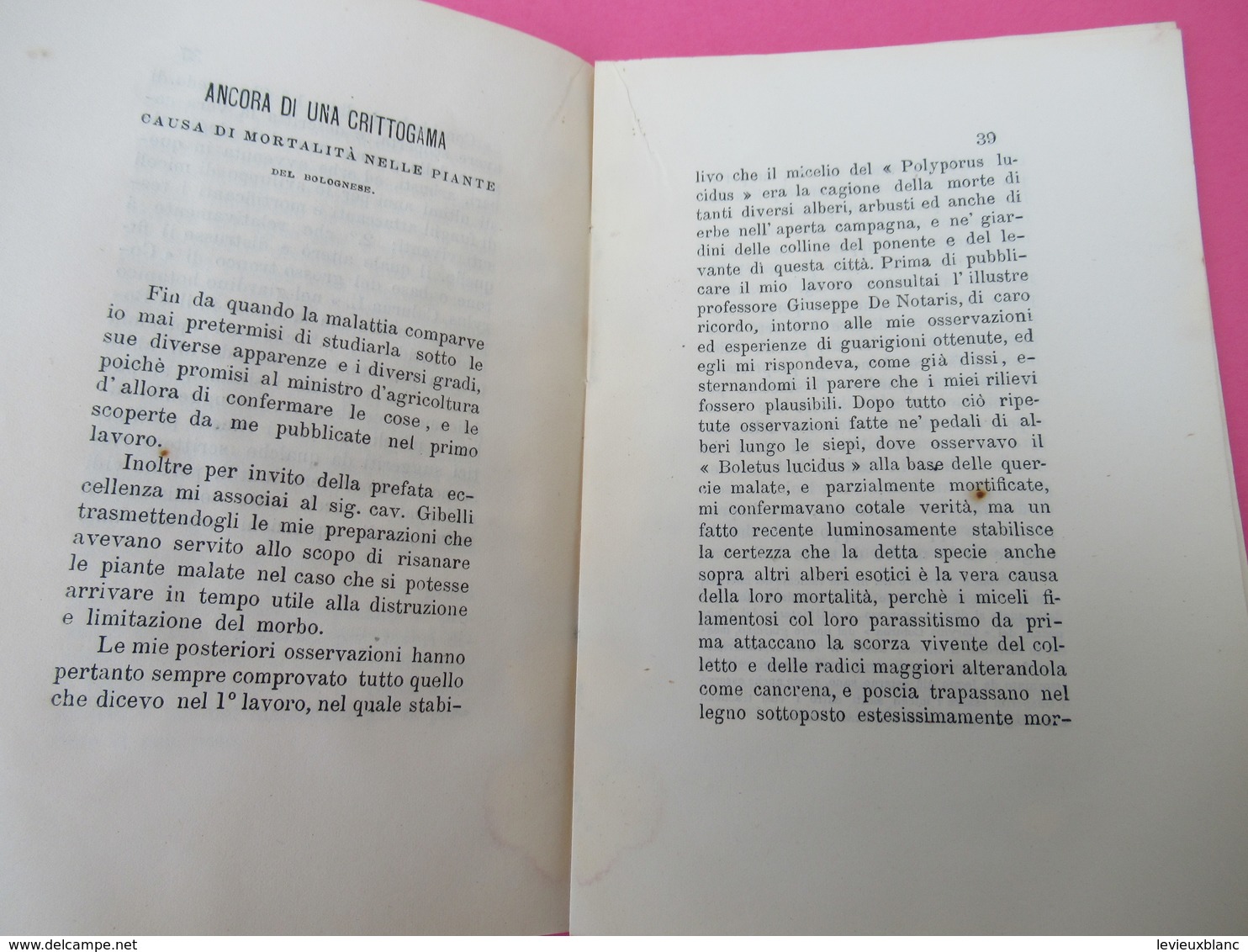 Botanique/Di una crittogama causa di morte delle plante nel Bolognese pel cavalier/Guiseppe BERTOLONI/Bologna/1878 MDP84