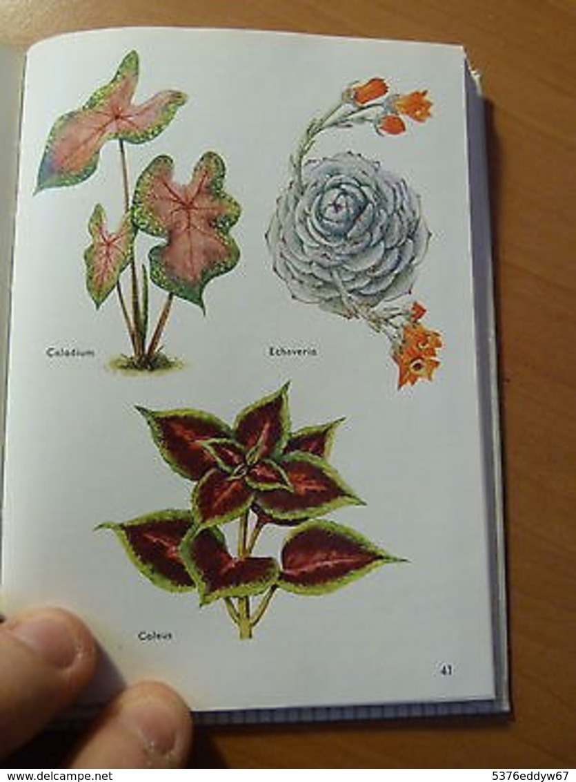 Plantes D'intérieur-Petit Atlas Payot Lausanne-Botanique - 1901-1940