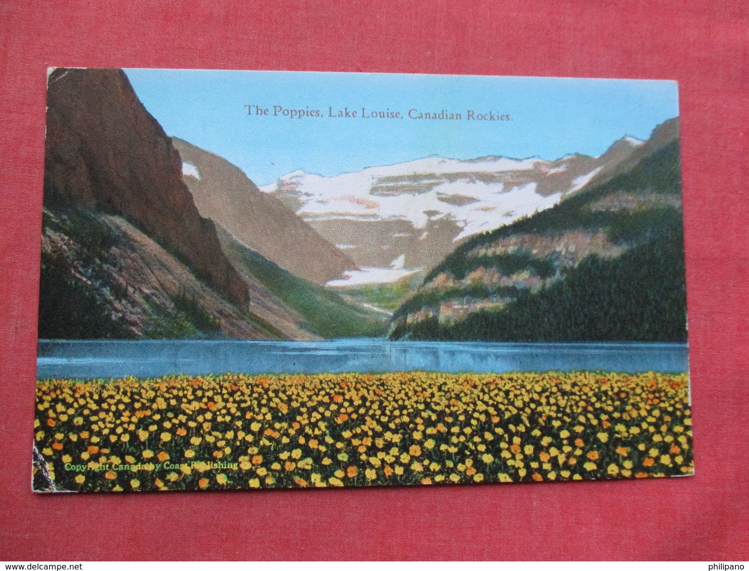 >  The Poppies    Canada > Alberta > Lake Louise Ref 3438 - Lake Louise
