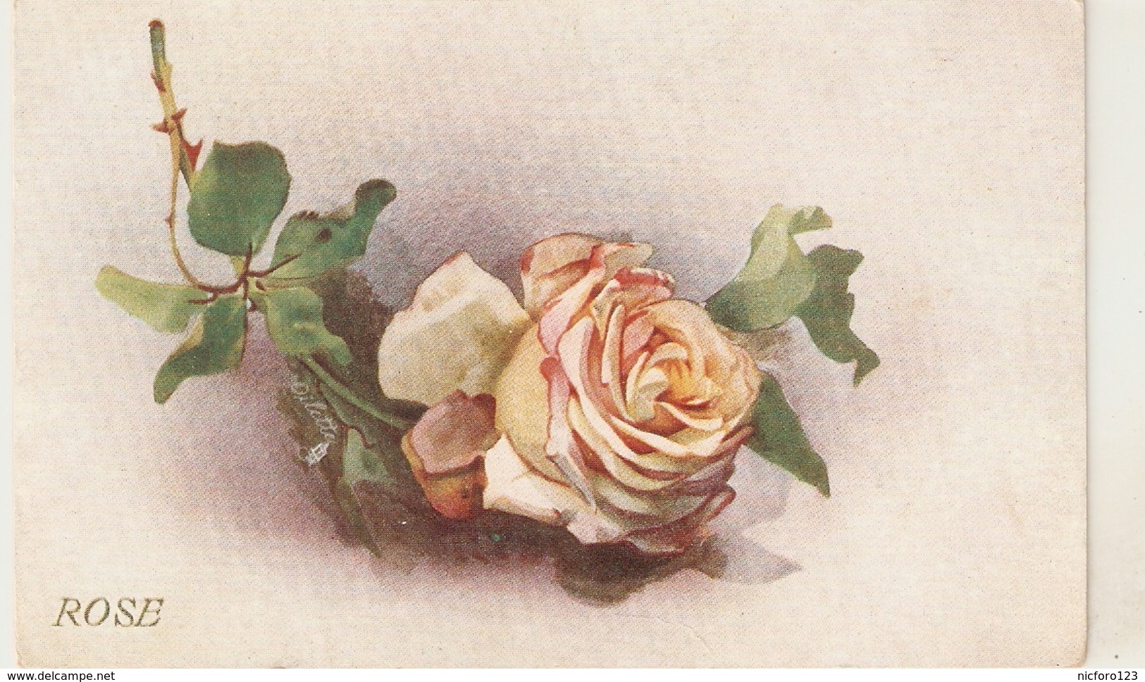 "Beautiful Rose" Tuck Favourite Flowers Series PC # 8477 - Tuck, Raphael