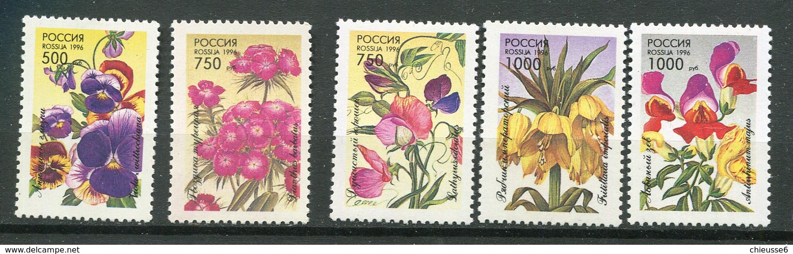 Russie ** N° 6165 à 6169 - Fleurs - Unused Stamps