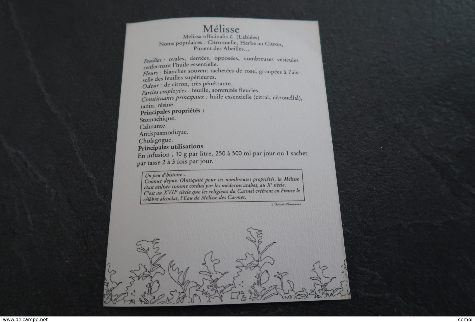 CPSM - Plante Médicinale : La Mélisse - Pastel De Christian Michaut - Plantes Médicinales