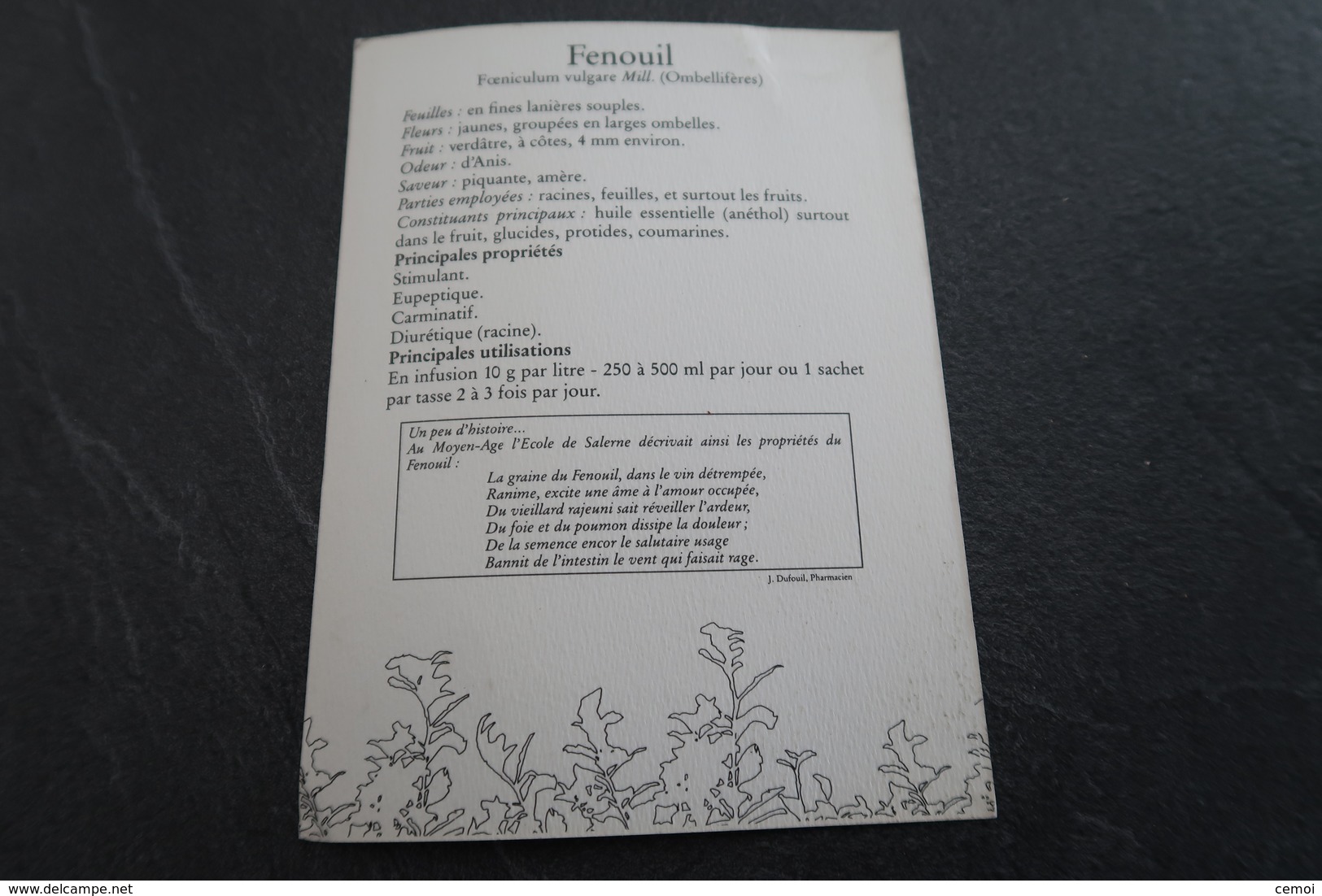 CPSM - Le Fenouil - Pastel De Christian Michaut - Medicinal Plants