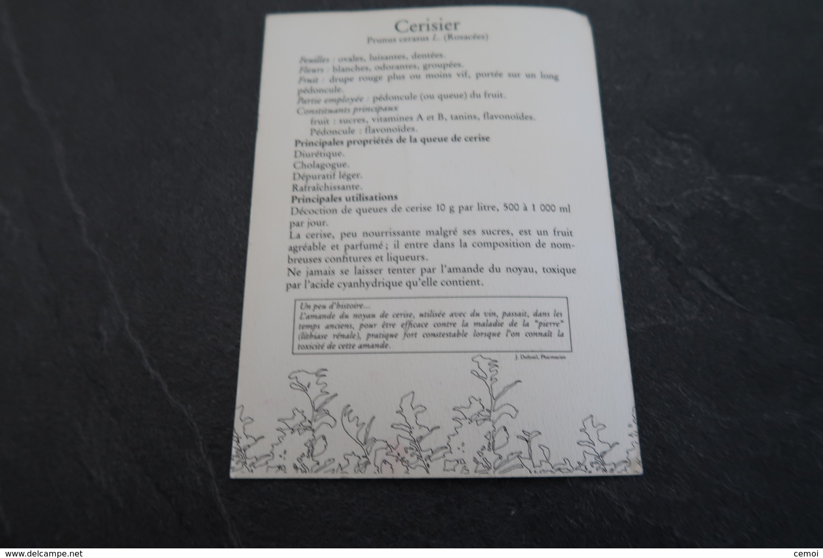 CPSM - Le Cerisier - Pastel De Christian Michaut - Medicinal Plants