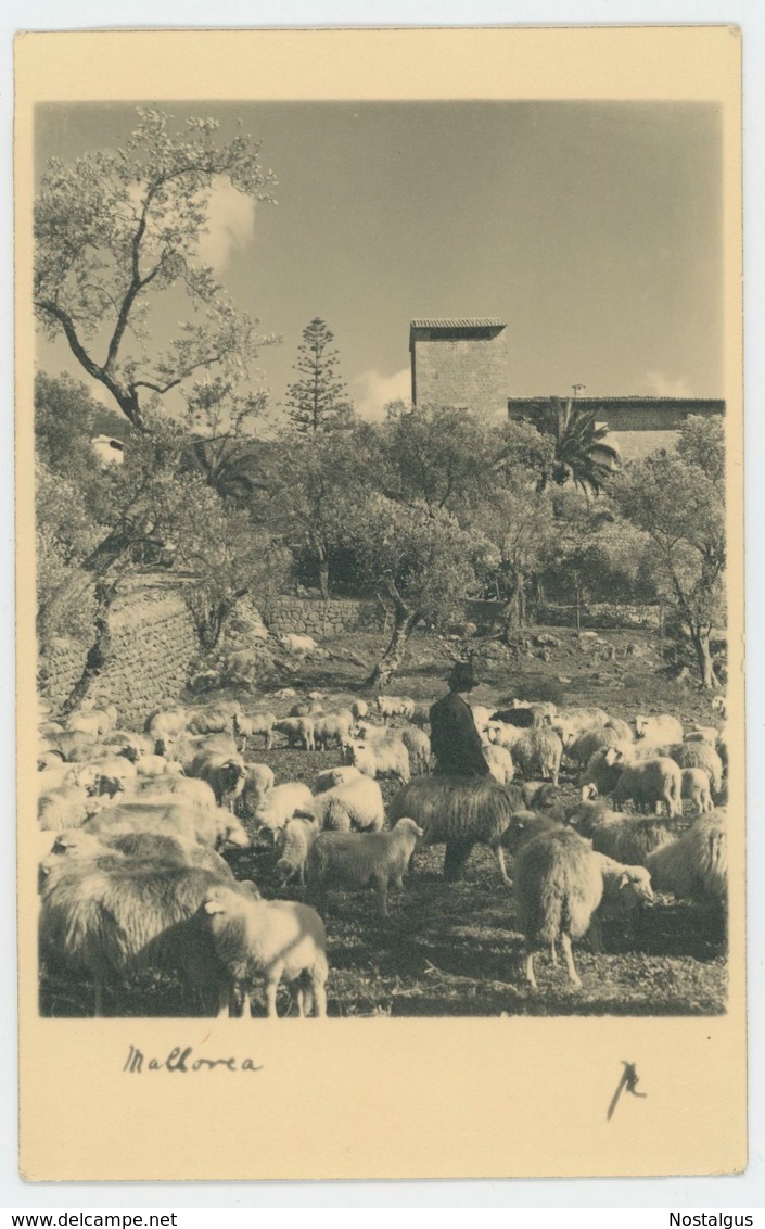 Foto AK 110 Spanien - "Mallorca" 1934 - Mallorca