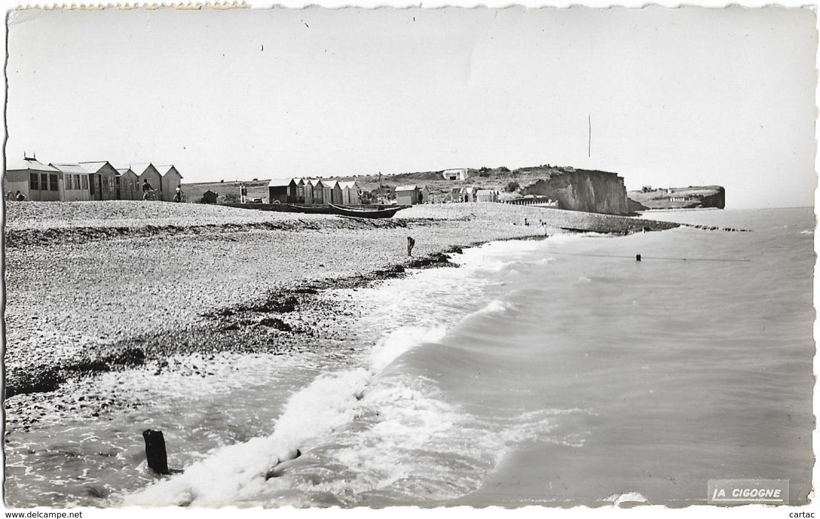 D76 - SAINT AUBIN SUR MER - LA PLAGE ET FALAISES D'AVAL - CPSM Dentelée Petit Format En Noir Et Blanc - Altri & Non Classificati