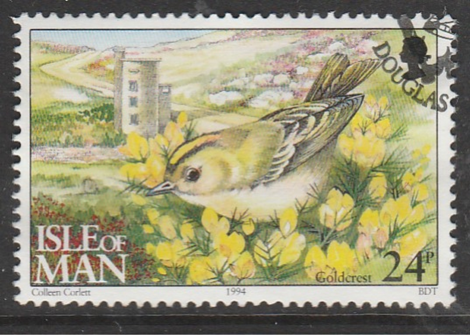 Isle Of Man 1994 Ornithological Observatory Of Calf Of Man 24 P Multicolored SW 562 O Used - Isle Of Man