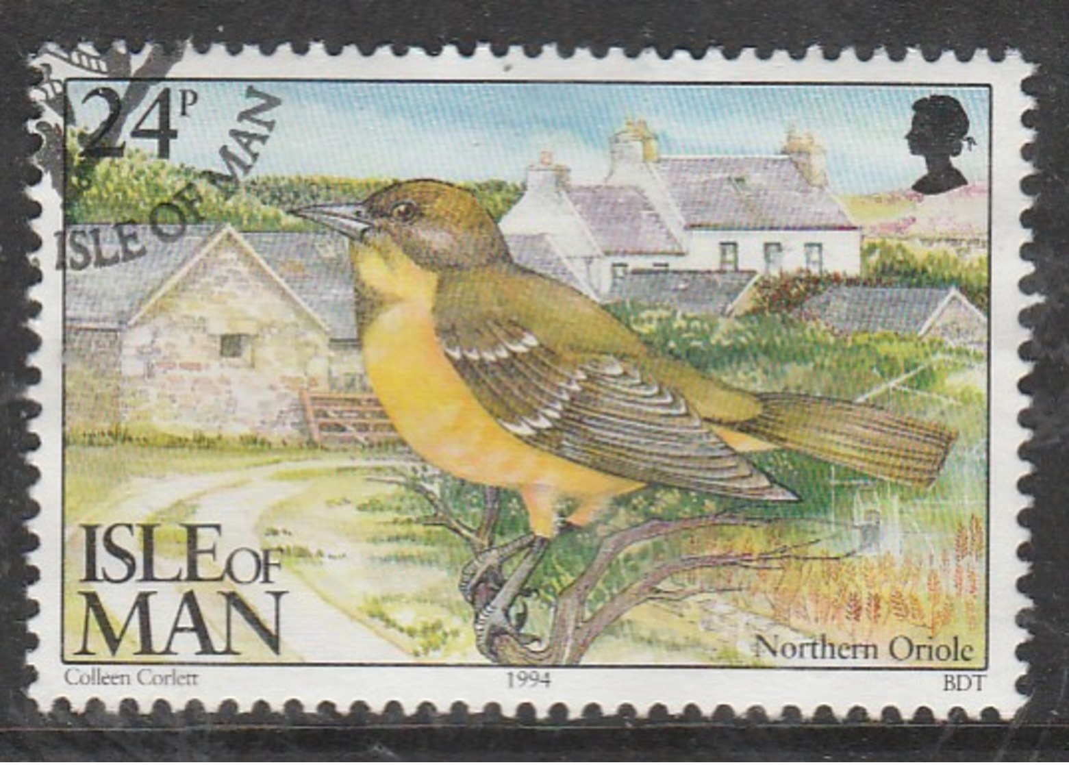 Isle Of Man 1994 Ornithological Observatory Of Calf Of Man 24 P Multicolored SW 563 O Used - Isle Of Man