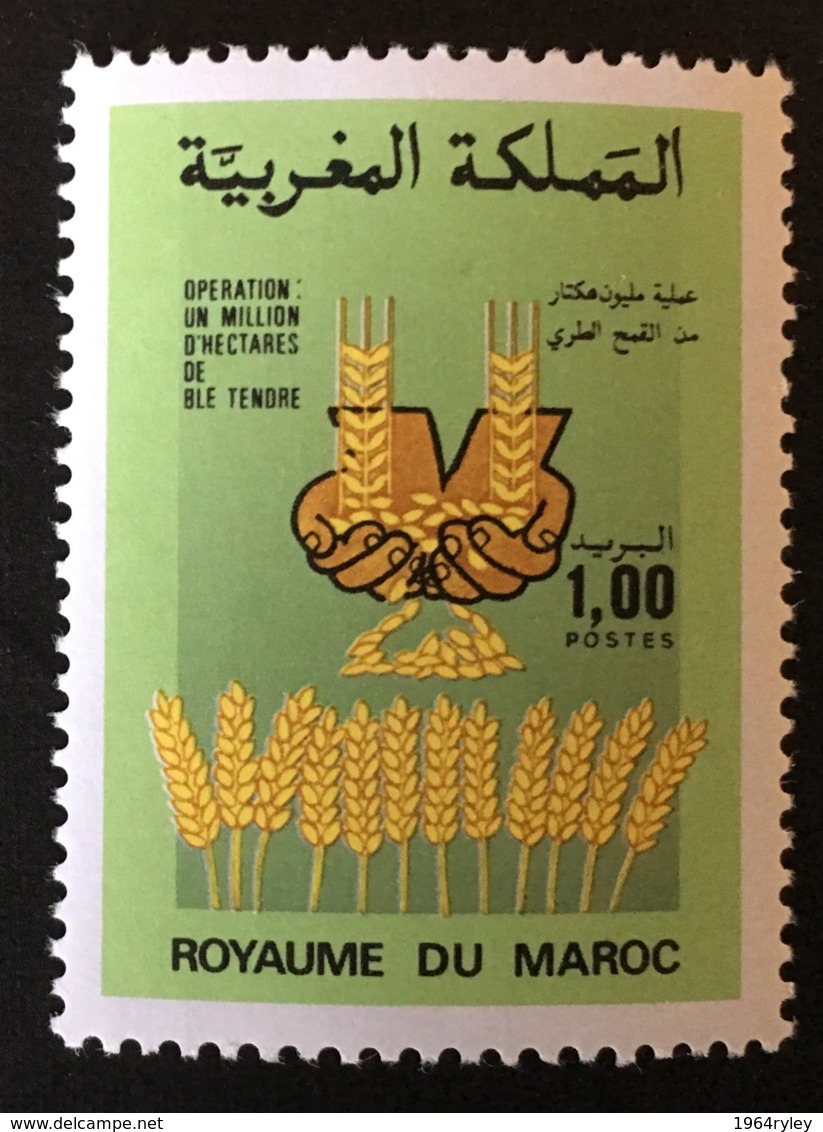 Morocco - MNH** - 1986 - # 630 - Morocco (1956-...)