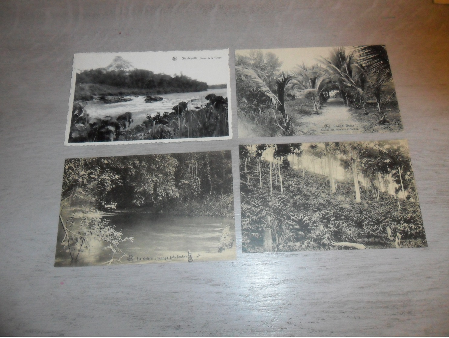 Lot de 60 cartes postales du Congo Belge      Lot van 60 postkaarten van Kongo - 60 scans