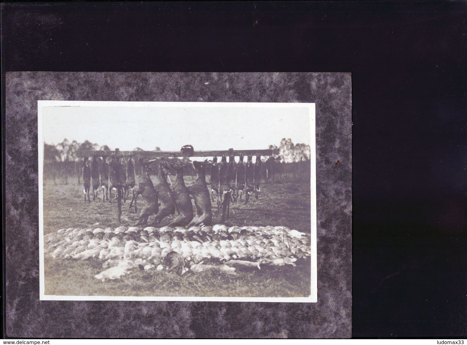 2 Photos  Cartonnées  Scene De Chasse Au Domaine Siberol De Floirac En Gironde - Autres & Non Classés