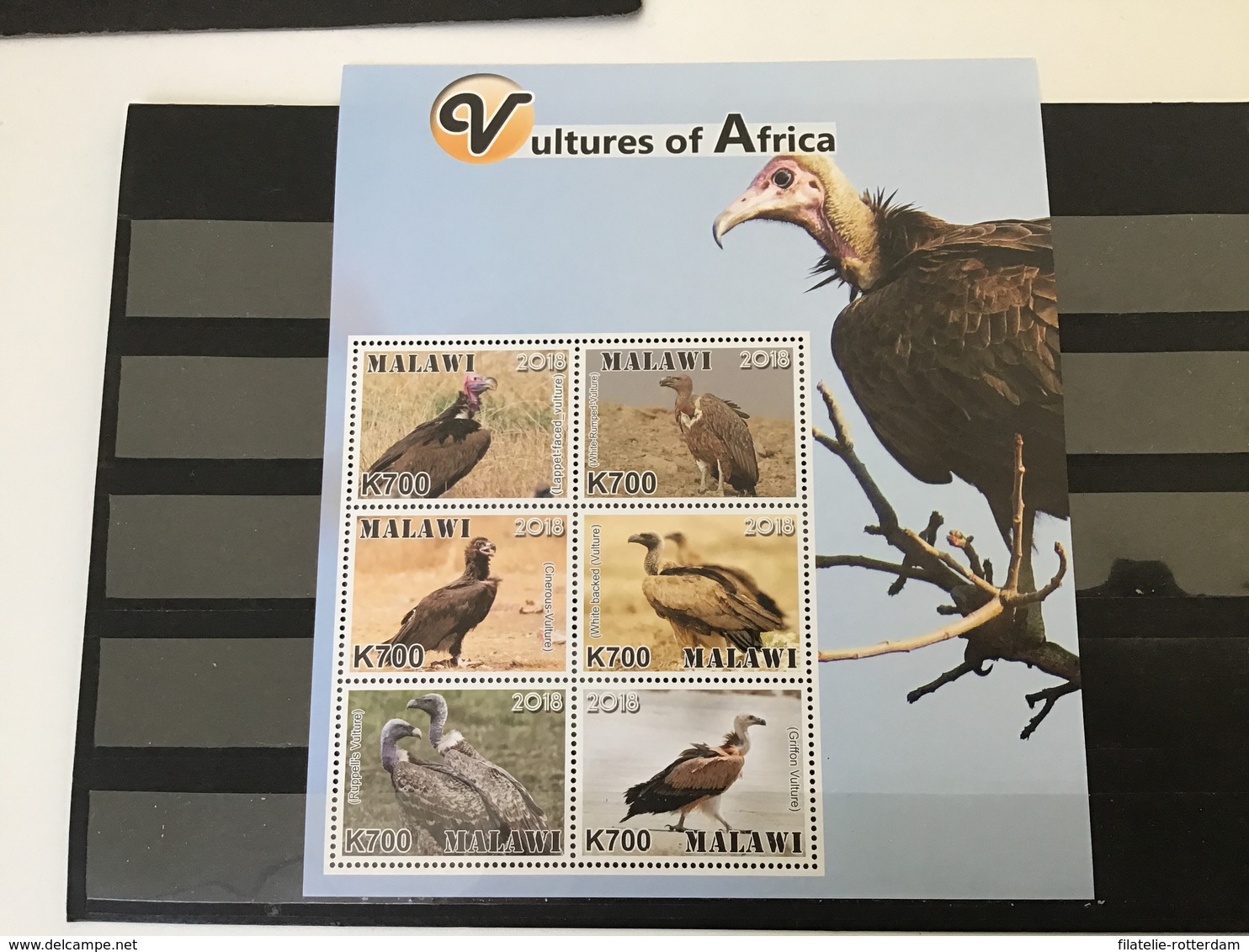 Malawi - Postfris / MNH - Sheet Roofvogels 2018 - Malawi (1964-...)