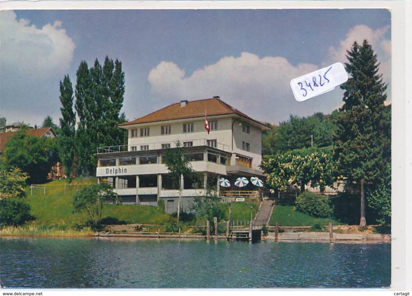 CPM GF -34825 -Suisse--Meisterschwanden -Seehotel Delphin ...-Vente Sans Frais Et Livraison Gratuite - Meisterschwanden