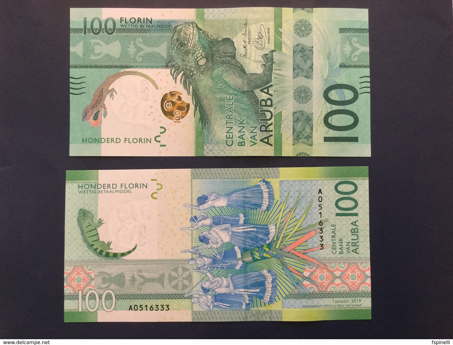 ARUBA  100 Florin "JUST  ISSUED"  Attractive Design IGUANA  Pnew  2019 - Aruba (1986-...)