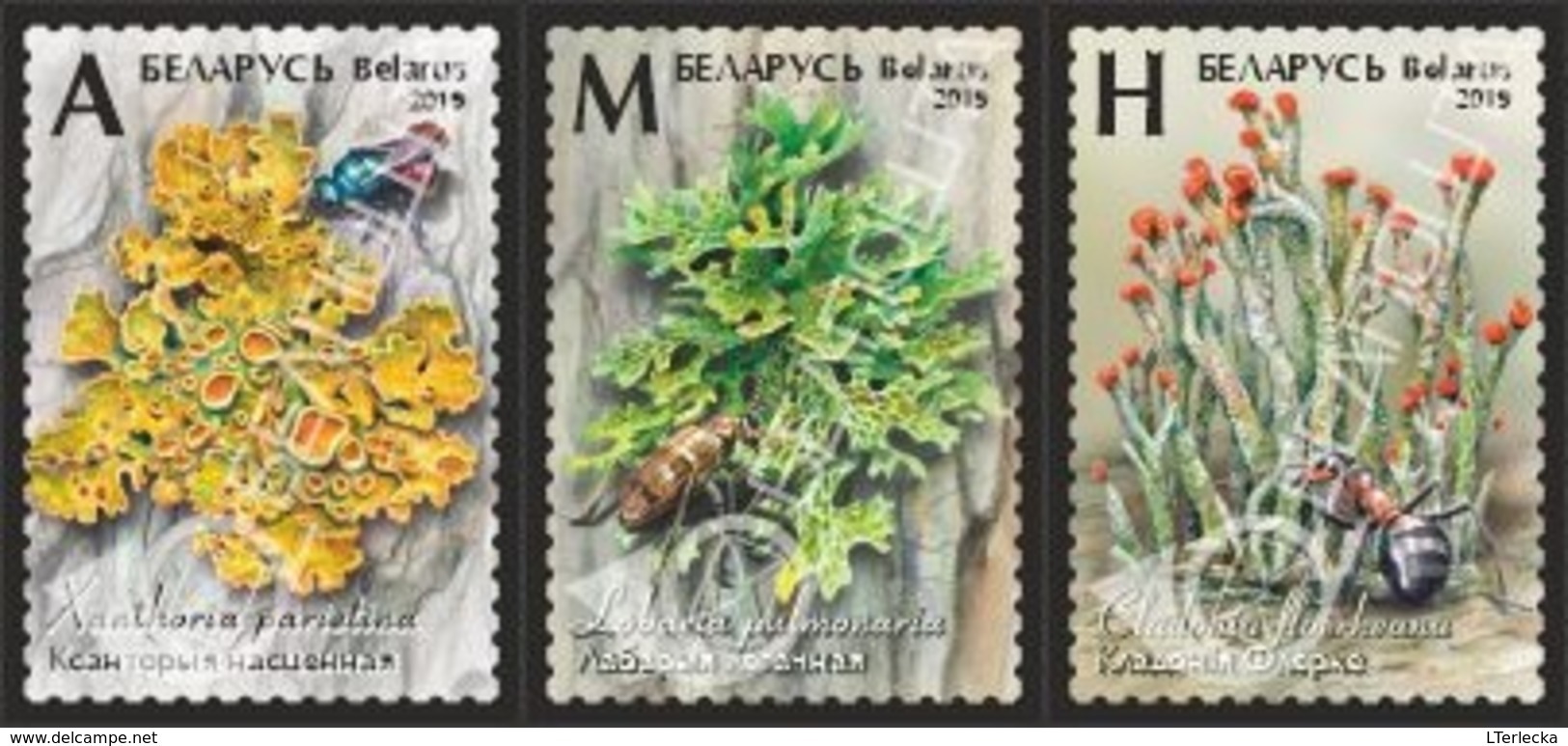 Belarus 2019 - Lichens, 3v MNH. Flora Licheni Lichen Mushrooms Korstmos Korstmossen Bielorussia/Biélorussie/Wit-Rusland - Altri & Non Classificati