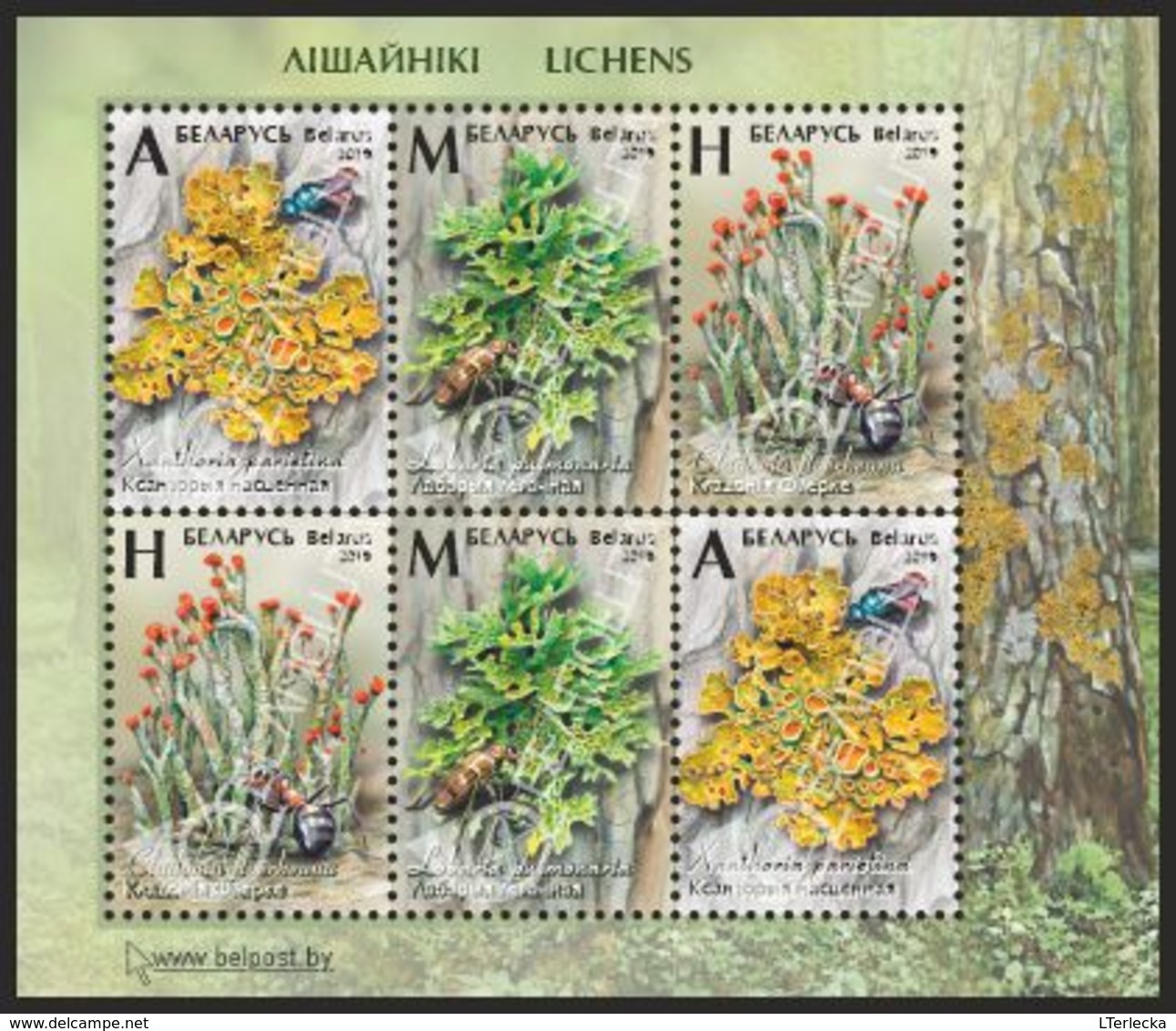 Belarus 2019 - Lichens, S/s MNH. Flora Licheni Lichen Korstmos Mushrooms Korstmossen Bielorussia/Biélorussie/Wit-Rusland - Bielorussia