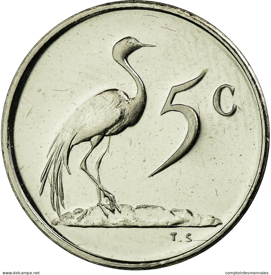 Monnaie, Afrique Du Sud, 5 Cents, 1982, Proof, FDC, Nickel, KM:111 - Afrique Du Sud