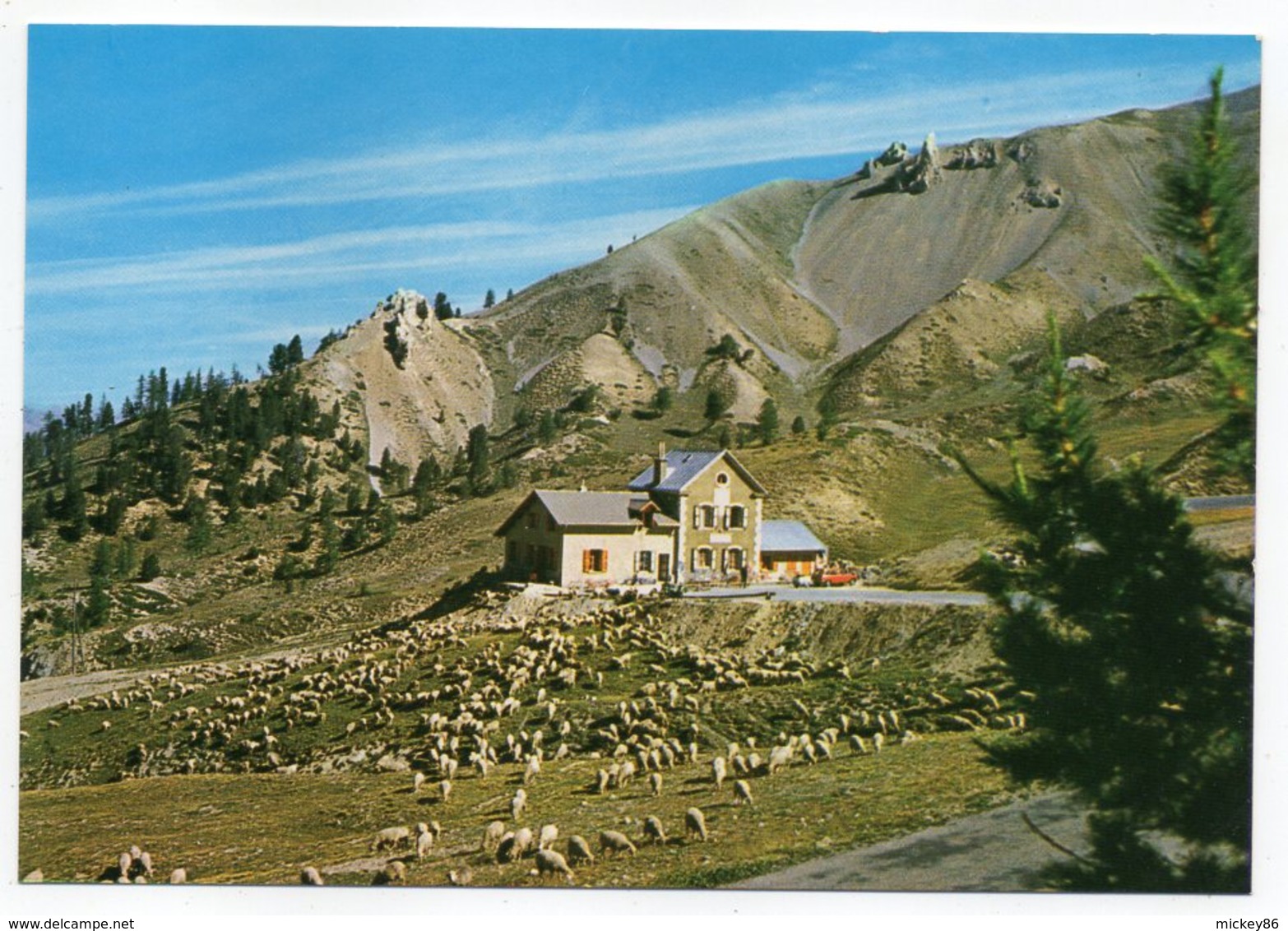 CERVIERES -- Col D'Izoard (2360m)  --Refuge Napoléon--troupeau De Moutons--cachet Du Refuge.................à  Saisir - Autres & Non Classés